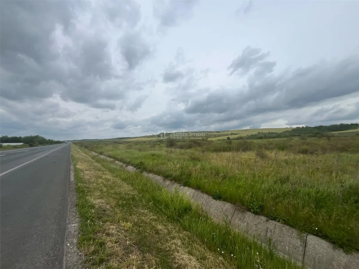 Lugoj, Terrain 16.800 m² avec 80m de Façade sur Route de Contournement - foto 12