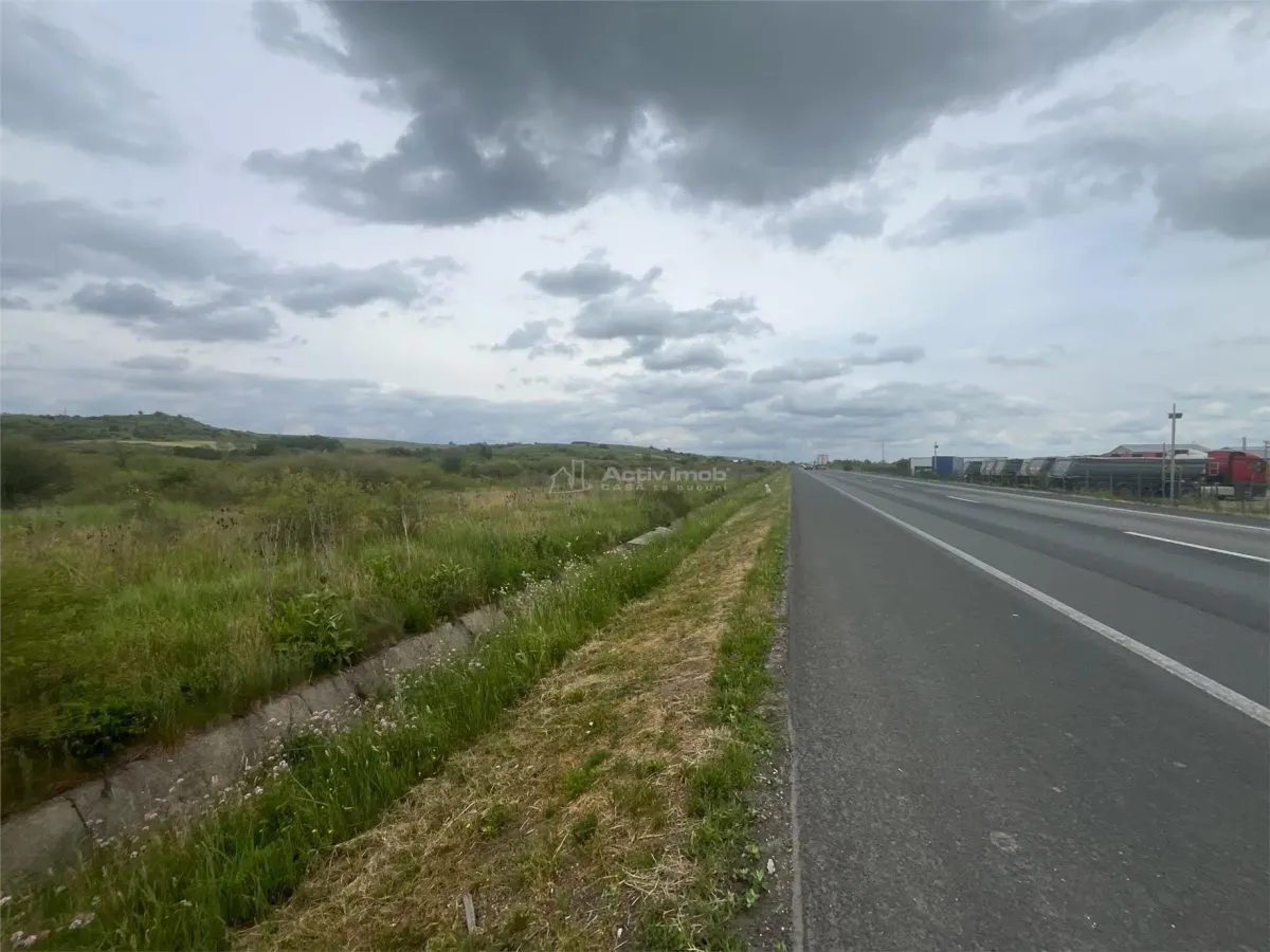 Lugoj, Terrain 16.800 m² avec 80m de Façade sur Route de Contournement - foto 4