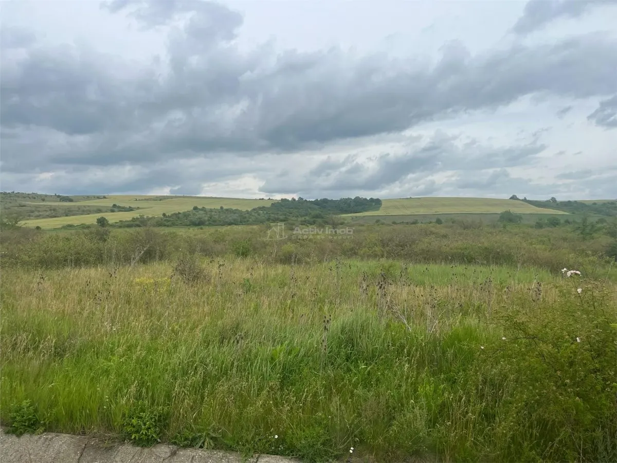 Lugoj, Terrain 16.800 m² avec 80m de Façade sur Route de Contournement - foto 10