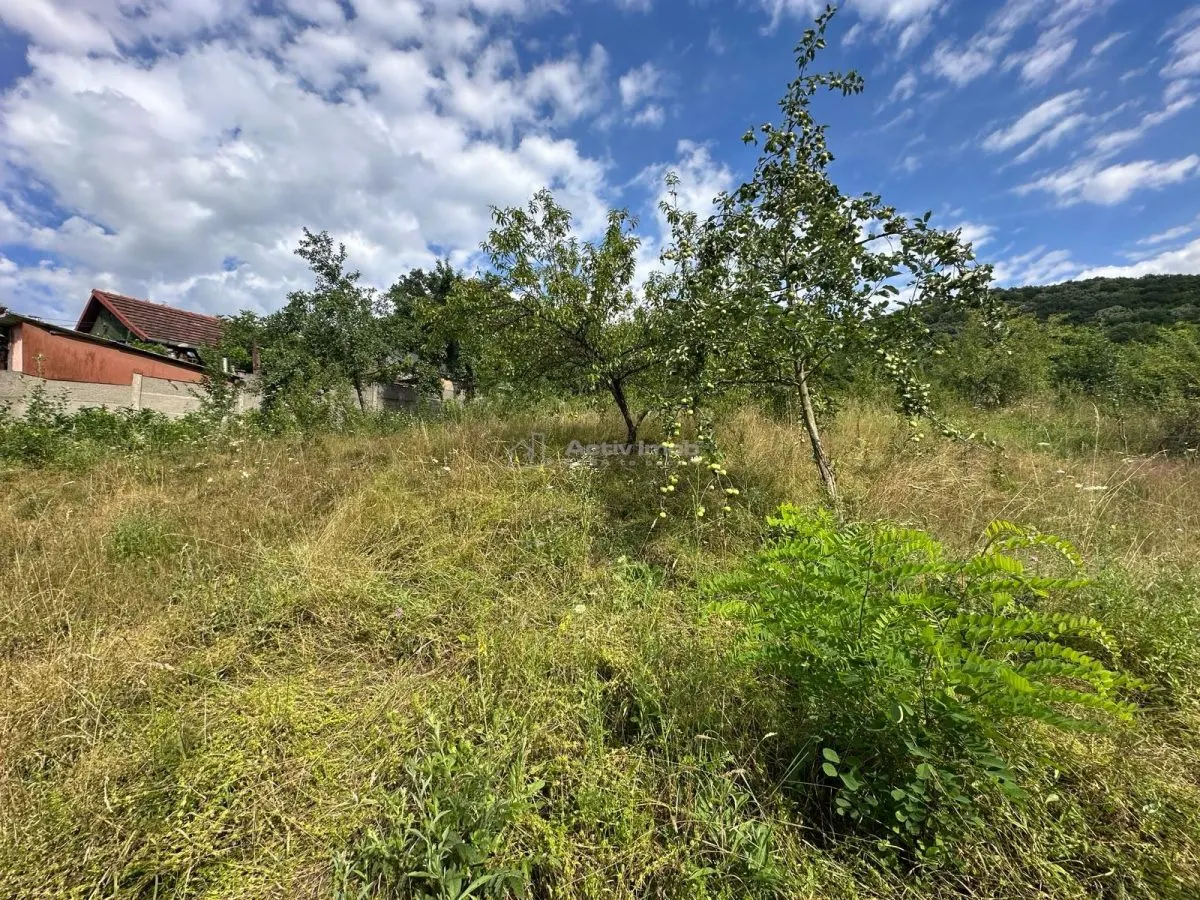 Terreno Intravilan 3.694 m² Zona Alcaldía de Bocsa – Comisión Cero Comprador - foto 2