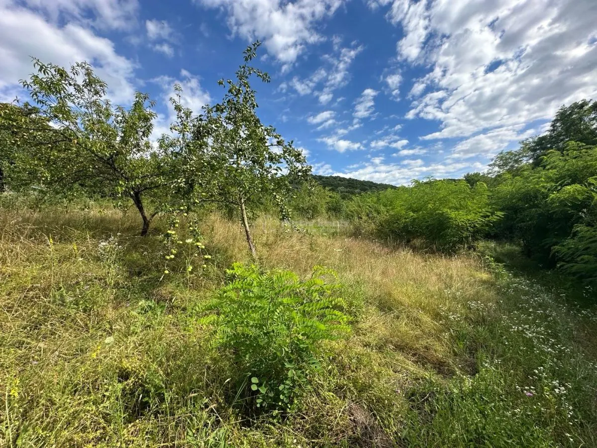 Terreno Intravilan 3.694 m² Zona Alcaldía de Bocsa – Comisión Cero Comprador - foto 11
