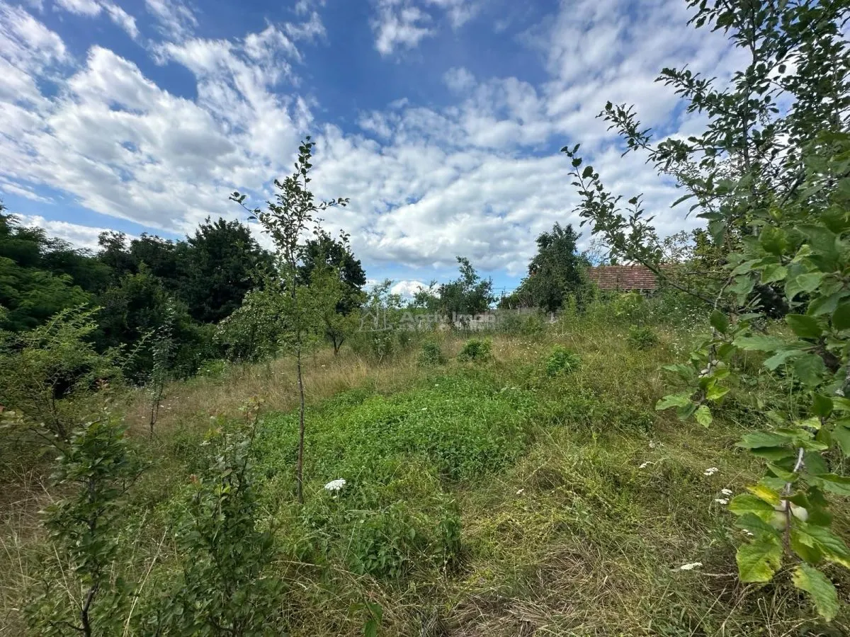 Terreno Intravilan 3.694 m² Zona Alcaldía de Bocsa – Comisión Cero Comprador - foto 12