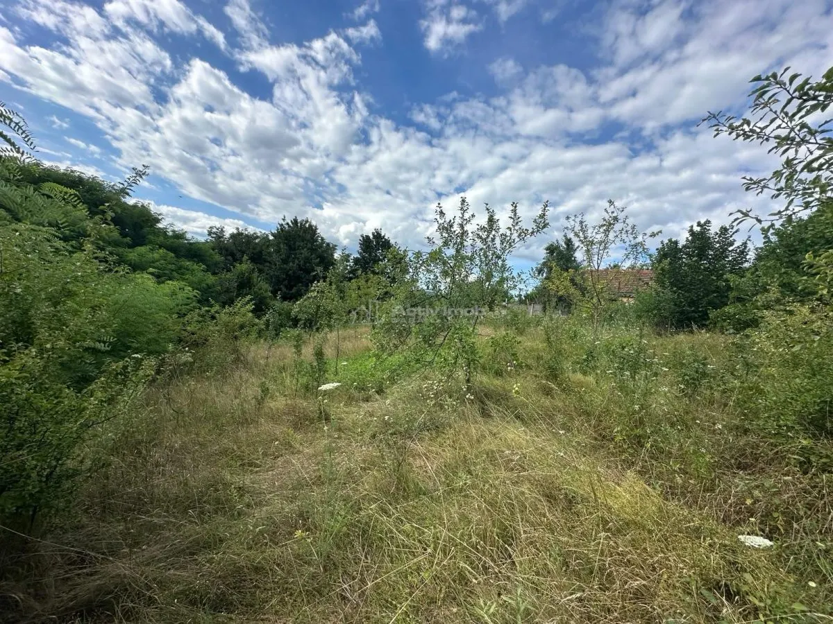 Terreno Intravilan 3.694 m² Zona Alcaldía de Bocsa – Comisión Cero Comprador - foto 8