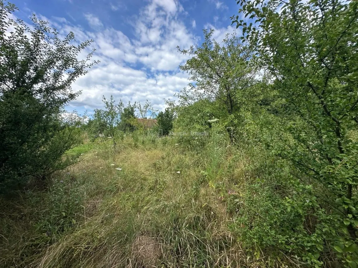 Terreno Intravilan 3.694 m² Zona Alcaldía de Bocsa – Comisión Cero Comprador - foto 10