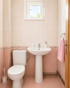 Ulmeni Appartement 3 Chambres Rez-de-Chaussée avec Garage et Débarras - foto 8