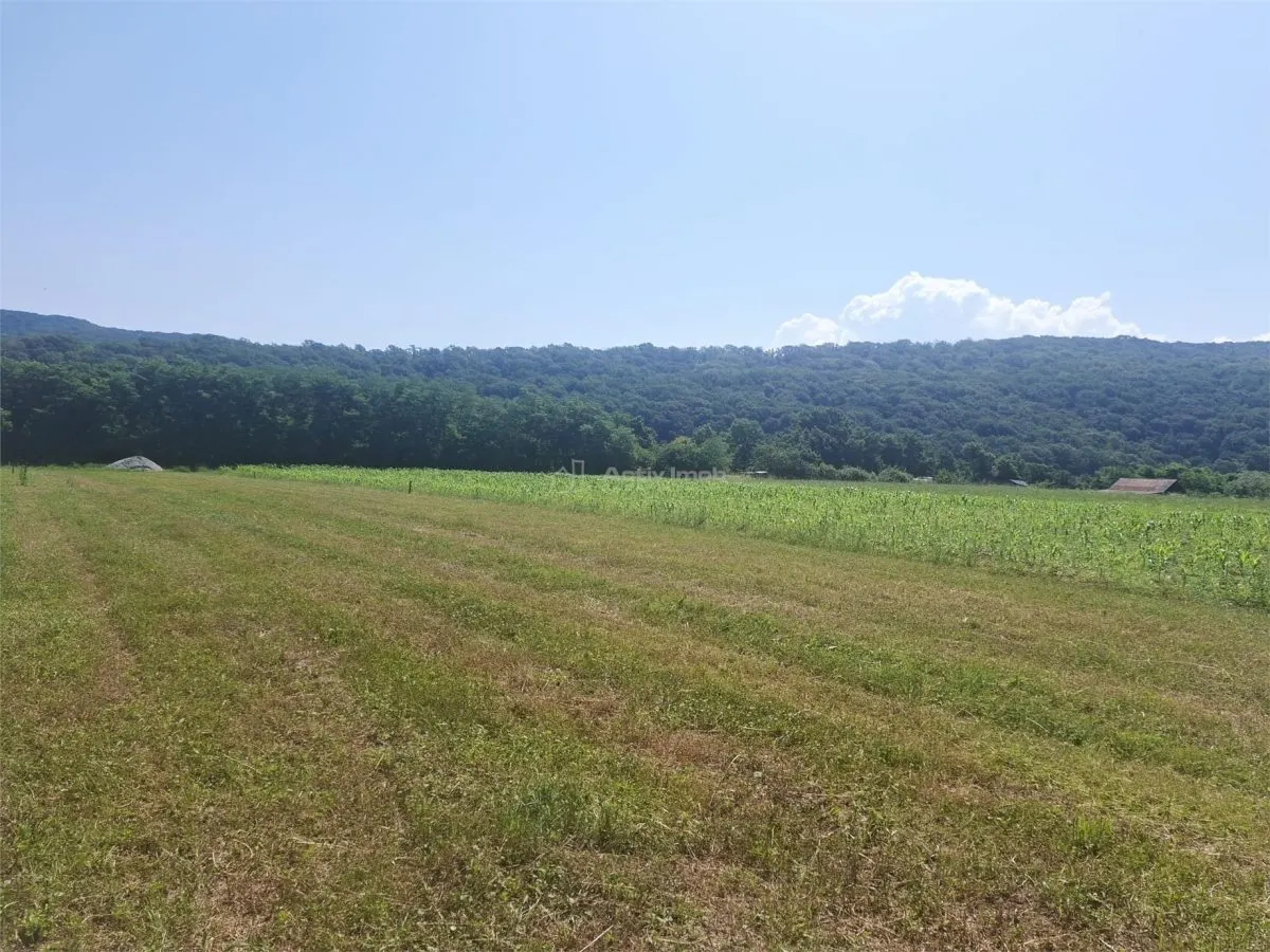Terrain à Vendre à Talmaciu - foto 1