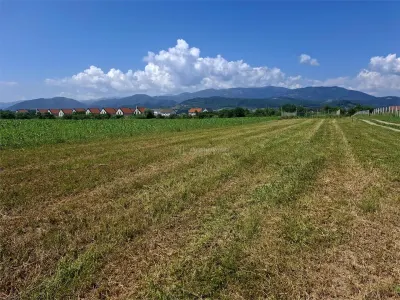 Terrain à Vendre à Talmaciu - foto 2