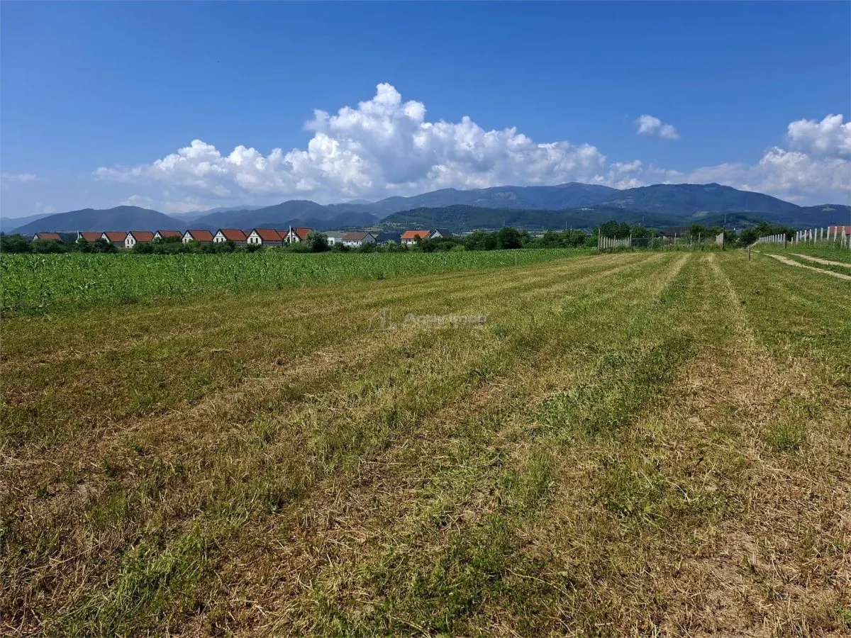 Terrain à Vendre à Talmaciu - foto 2