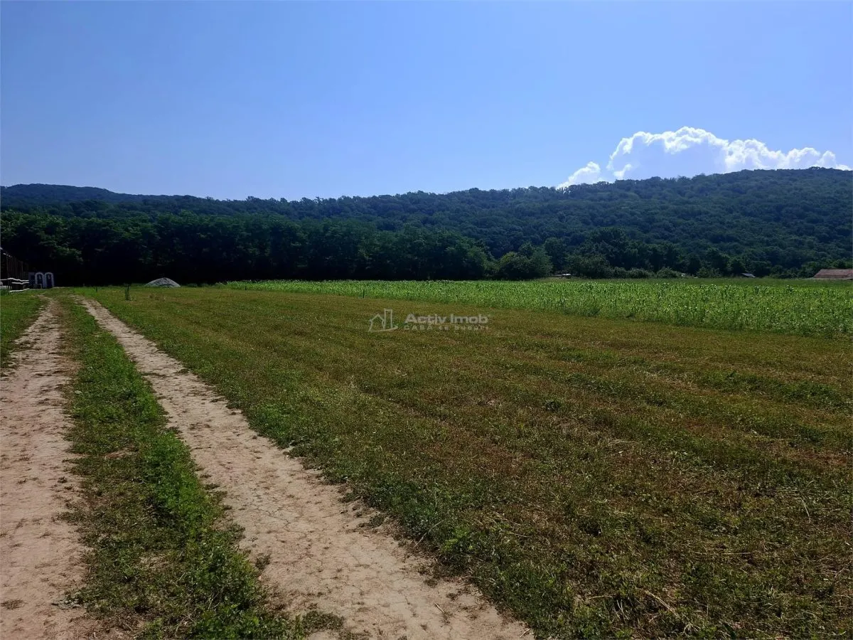 Terrain à Vendre à Talmaciu - foto 3