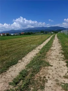 Terrain à Vendre à Talmaciu - foto 4