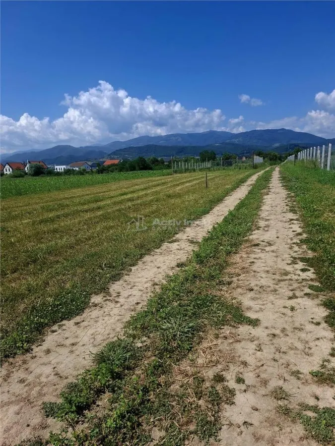 Terrain à Vendre à Talmaciu - foto 4