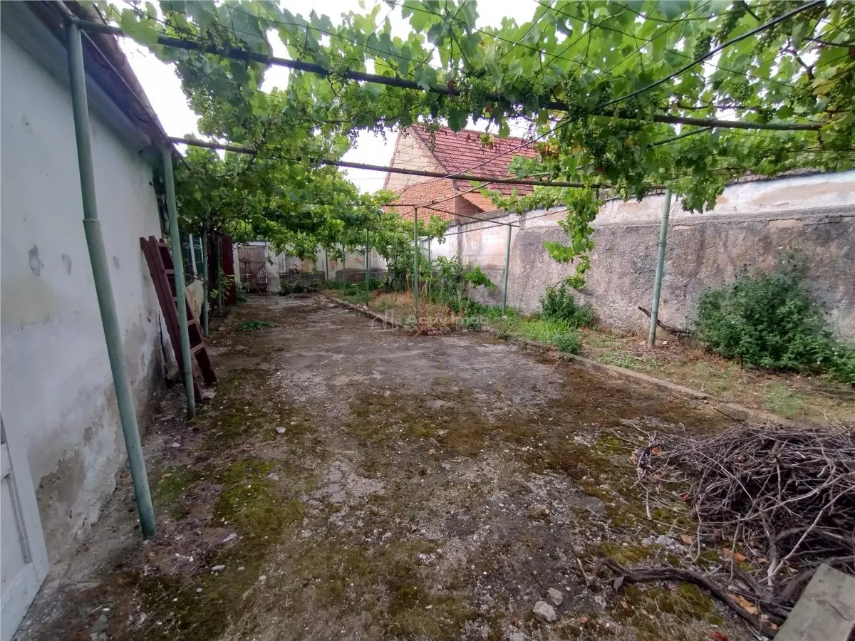 Socol | Casa de 7 Habitaciones | Planta Baja + Desván | 546 sqm Terreno - foto 11