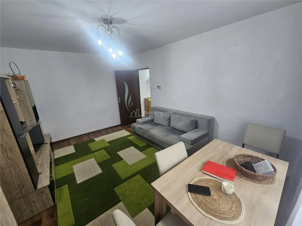 Resita, Appartement 2 Chambres, Meublé et Équipé, Rez-de-chaussée, Micro 1 - foto 13