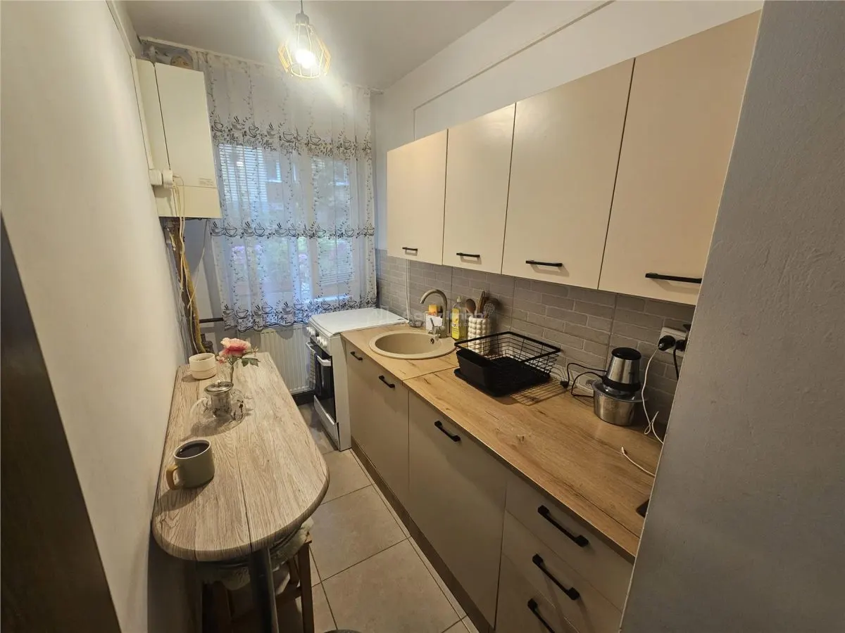 Resita, Appartement 2 Chambres, Meublé et Équipé, Rez-de-chaussée, Micro 1 - foto 6
