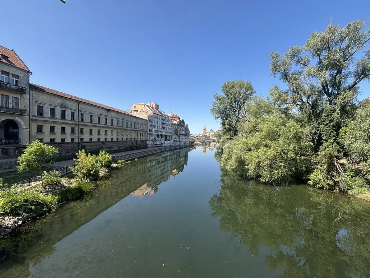 Appartement de 129 m² avec vue sur le Crisul Repede et sous-sol indépendant dans immeuble historique - foto 18