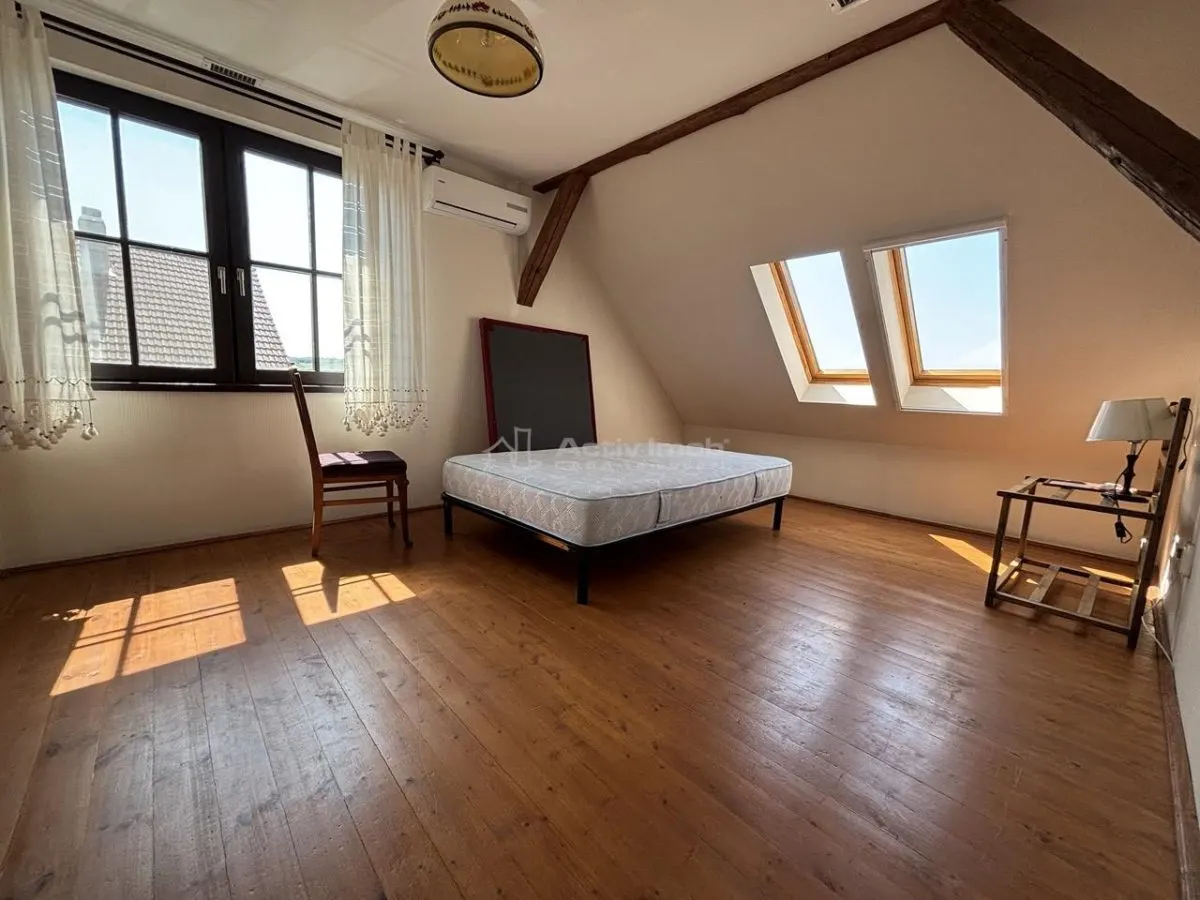 Proprietate de patrimoniu pe malul lacului Paleu - Teren 2.300 mp - piscina - Coliba lui Horea – casa istorica din secolul XVIII - foto 12