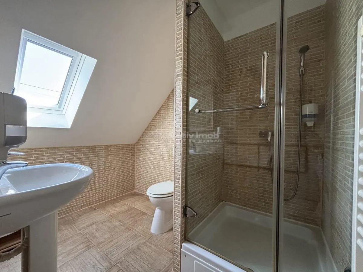 Proprietate de patrimoniu pe malul lacului Paleu - Teren 2.300 mp - piscina - Coliba lui Horea – casa istorica din secolul XVIII - foto 15