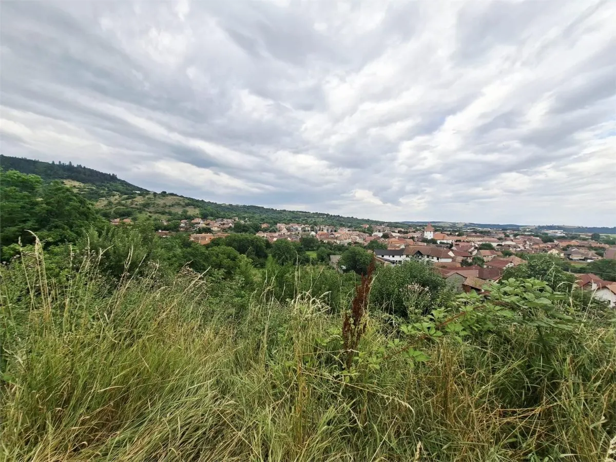 Terrain à Bâtir à Vendre à Săliște - foto 1