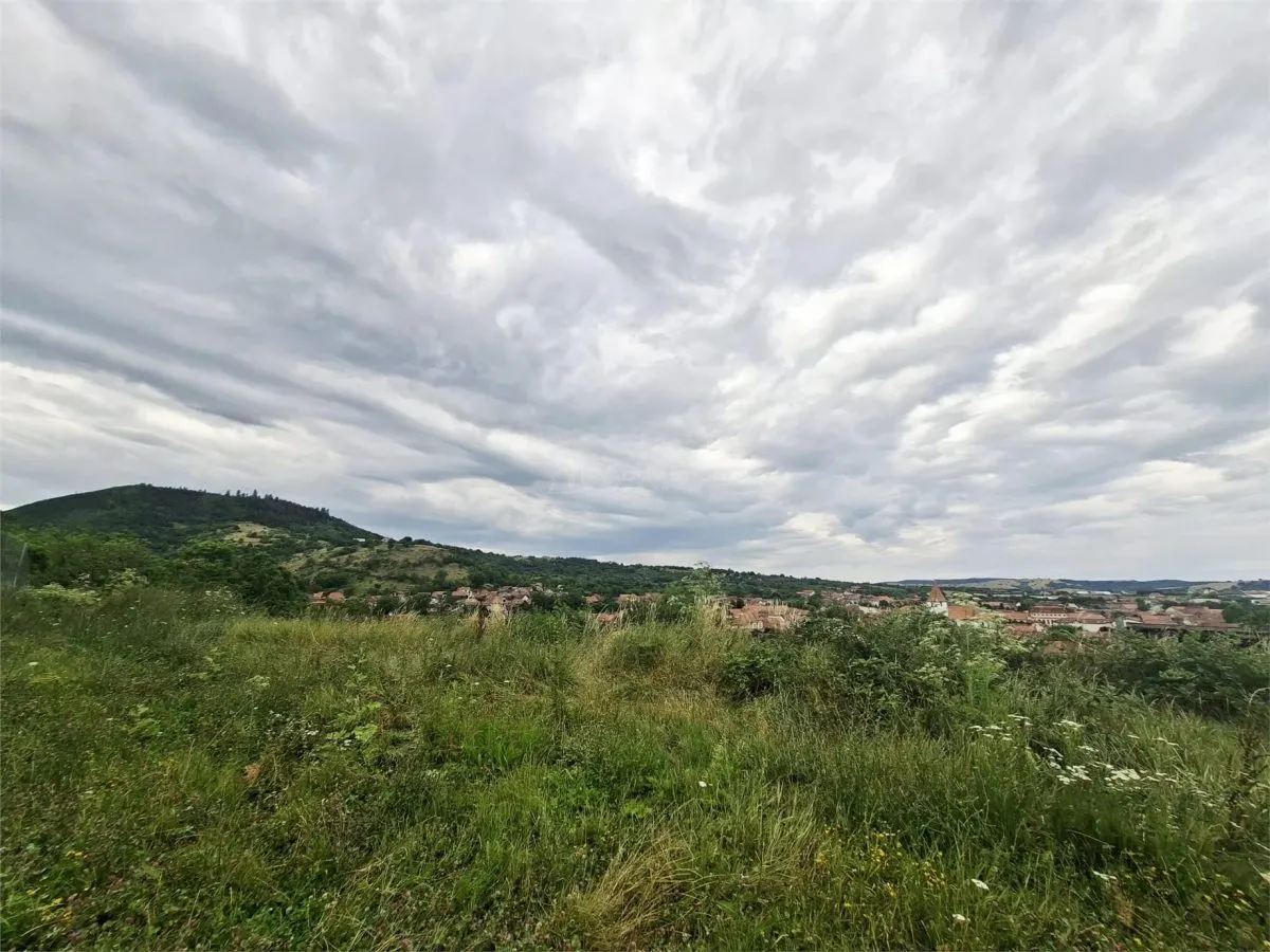 Terrain à Bâtir à Vendre à Săliște - foto 2