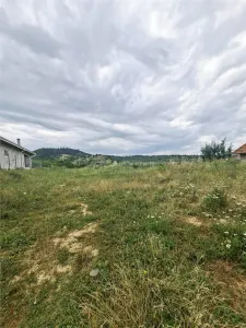 Terrain à Bâtir à Vendre à Săliște - foto 3
