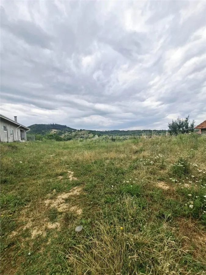 Terrain à Bâtir à Vendre à Săliște - foto 3
