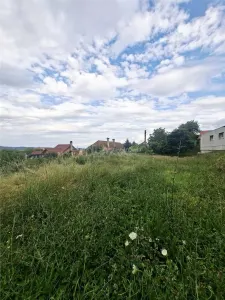 Terrain à Bâtir à Vendre à Săliște - foto 4