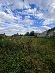 Terrain à Bâtir à Vendre à Săliște - foto 5