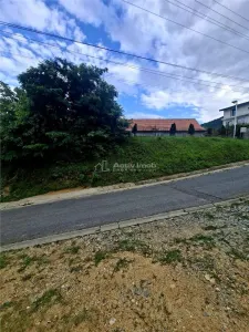 Terrain à Bâtir à Vendre à Săliște - foto 6