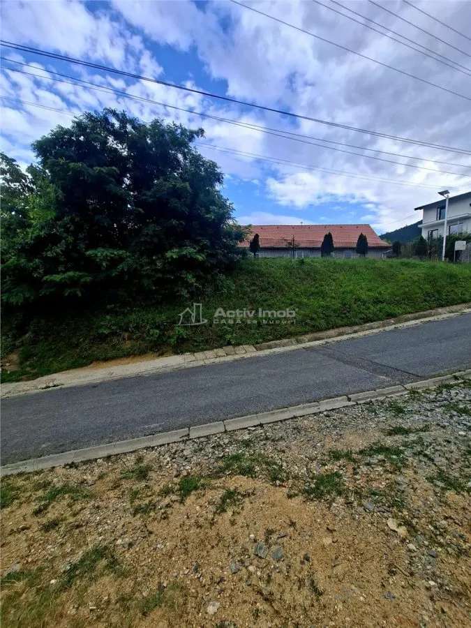Terrain à Bâtir à Vendre à Săliște - foto 6