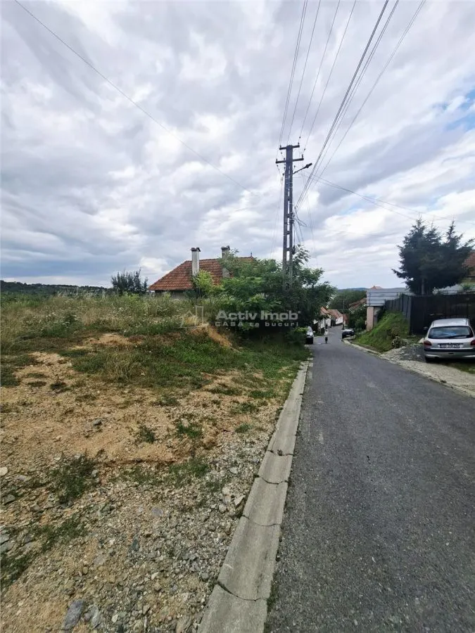 Terrain à Bâtir à Vendre à Săliște - foto 7