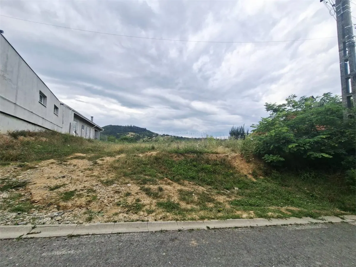 Terrain à Bâtir à Vendre à Săliște - foto 8