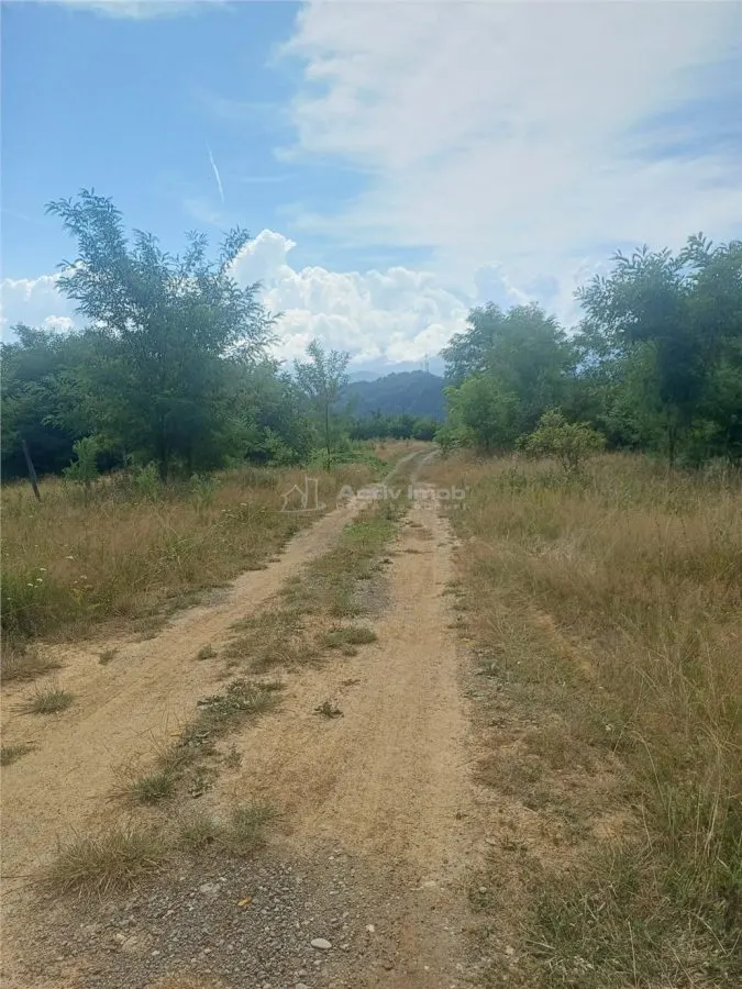 Terreno Urbano en Venta en Tălmaciu – 1.488 m² - foto 6