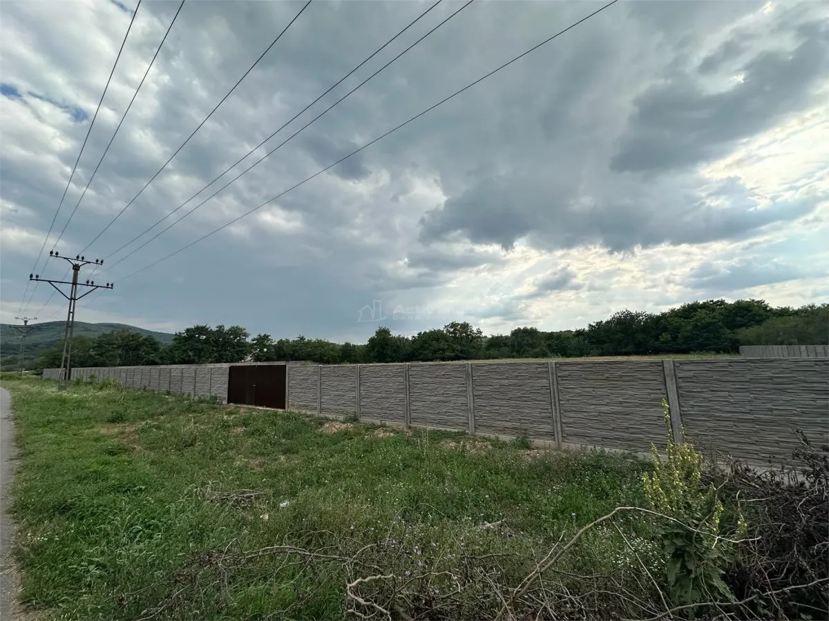 Bocsa Romana, Terrain à Louer, 8,500 m², Route Principale - foto 12