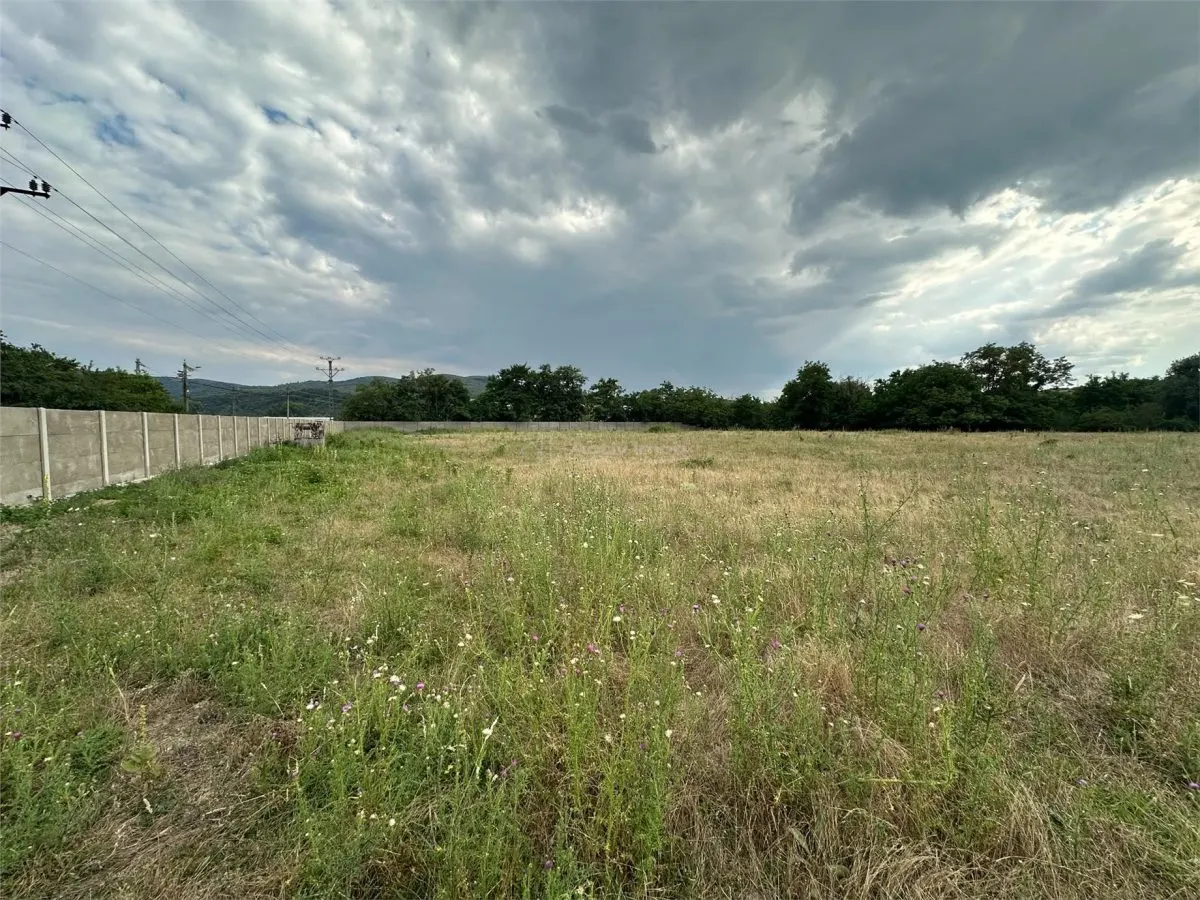 Bocsa Romana, Terrain à Louer, 8,500 m², Route Principale - foto 3