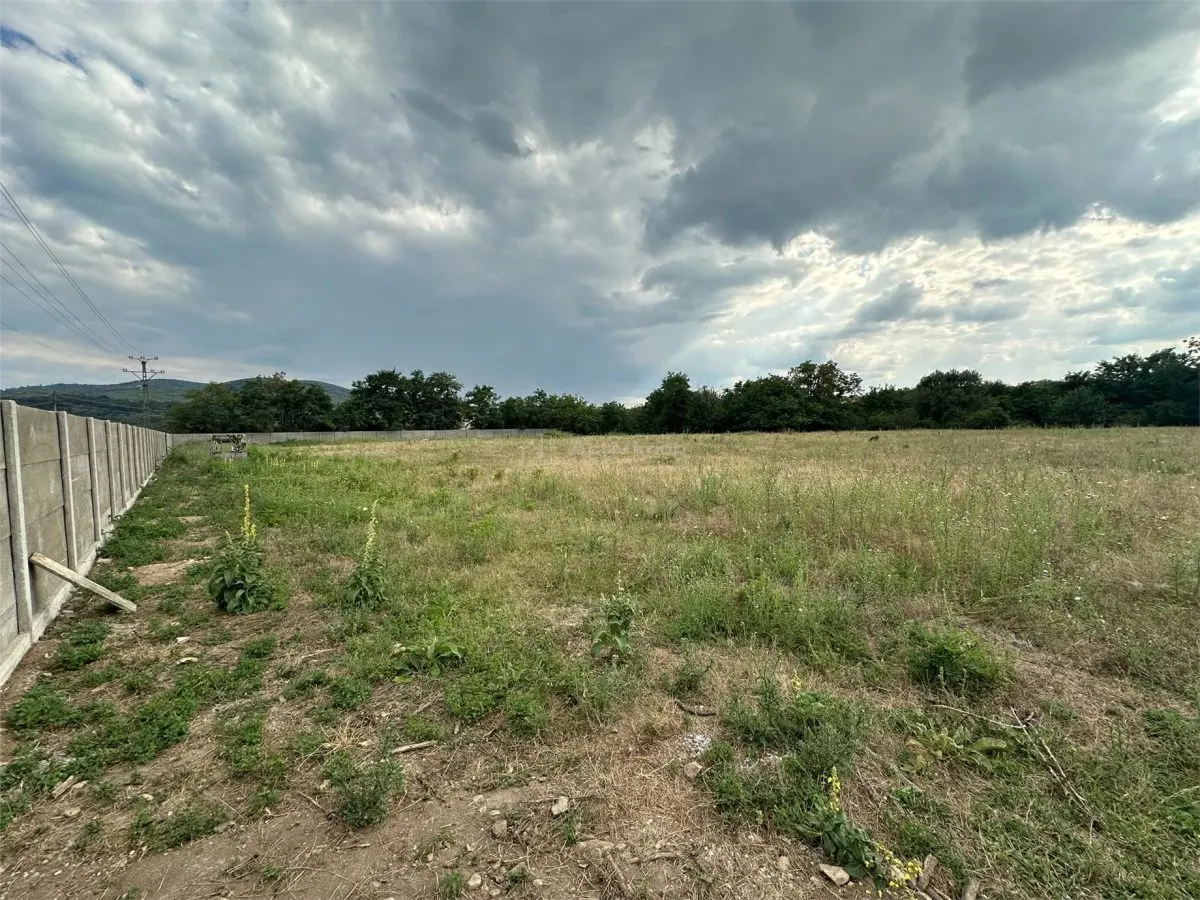 Bocsa Romana, Terrain à Louer, 8,500 m², Route Principale - foto 4