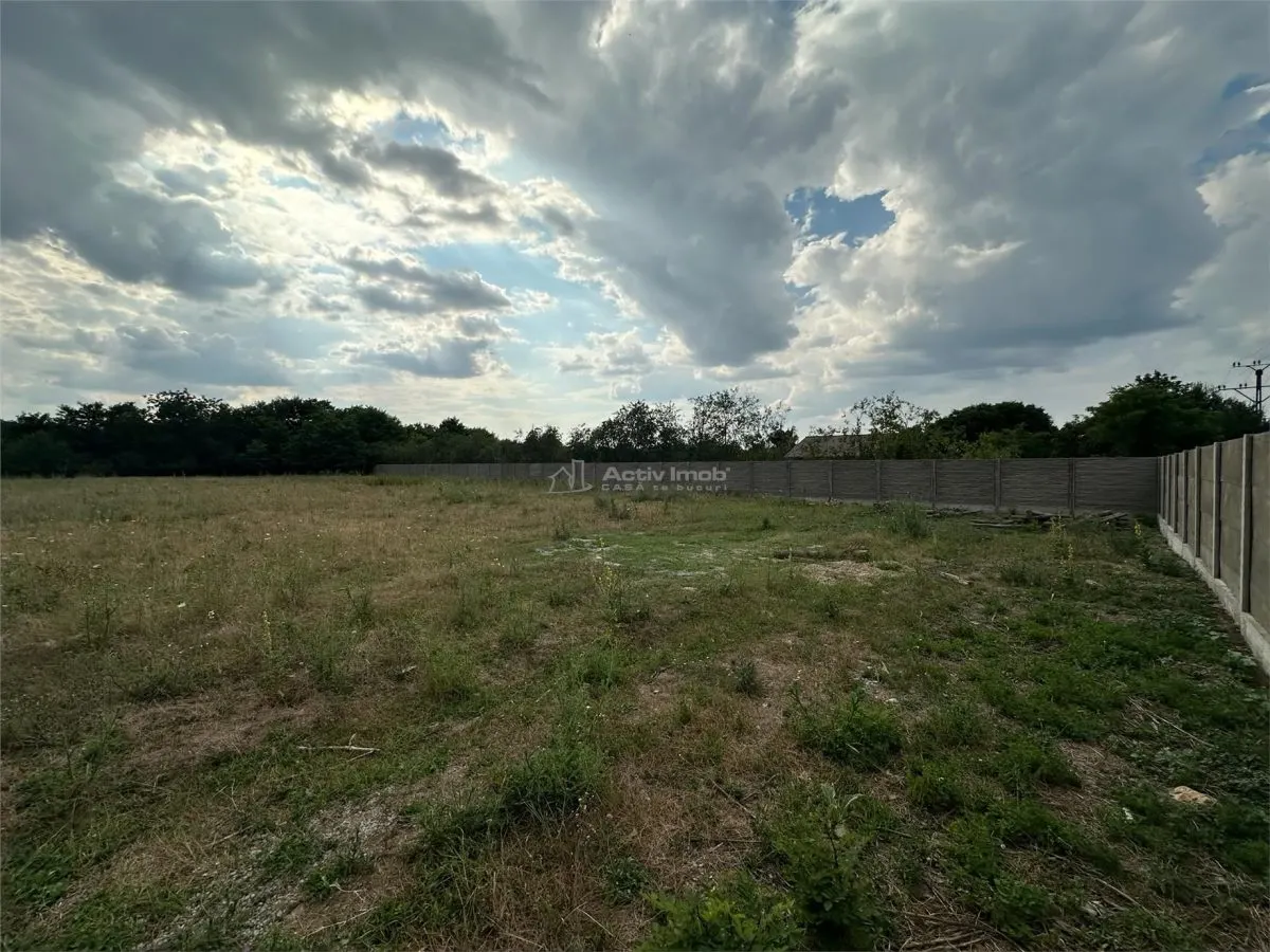 Bocsa Romana, Terrain à Louer, 8,500 m², Route Principale - foto 10