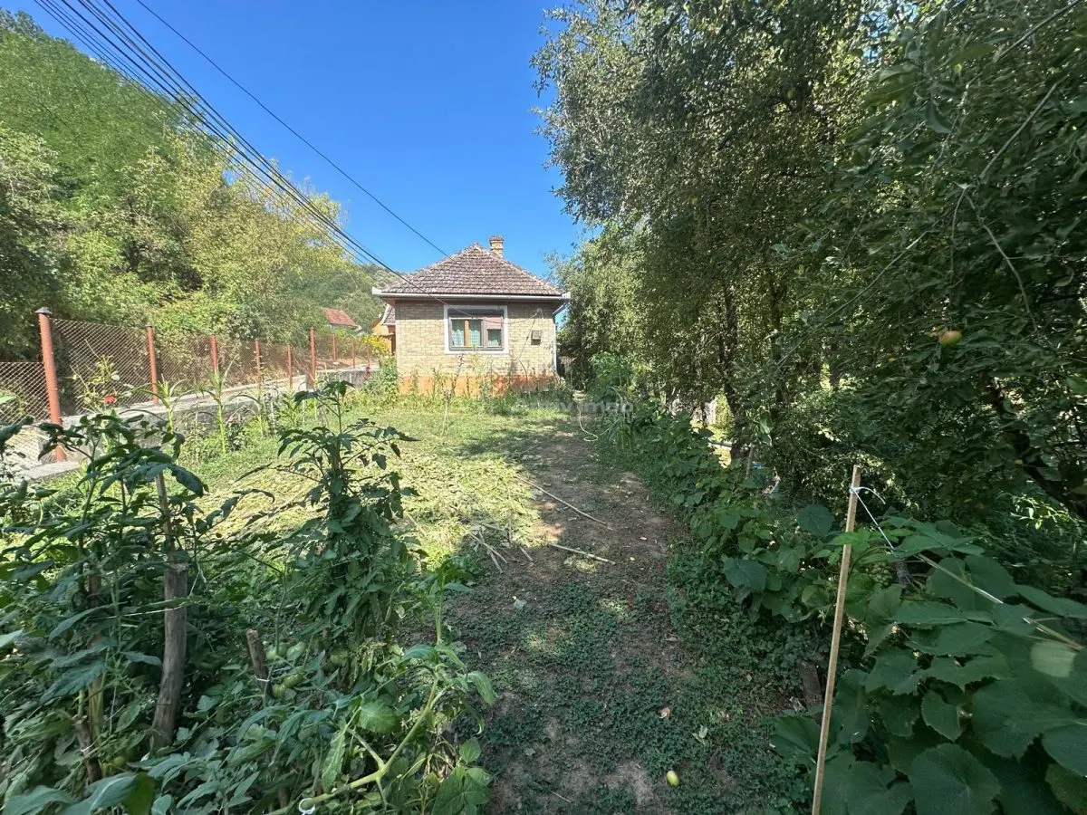 Bocsa Montana: Chaumière de Vacances Accueillante ou Investissement, Cadre Pittoresque - foto 21