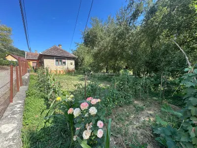 Bocsa Montana: Chaumière de Vacances Accueillante ou Investissement, Cadre Pittoresque - foto 22