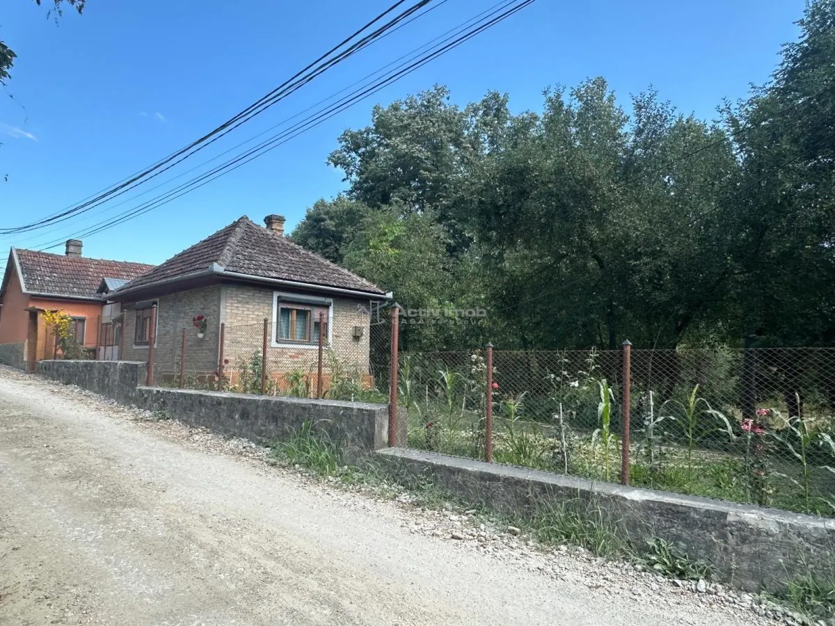 Bocsa Montana: Chaumière de Vacances Accueillante ou Investissement, Cadre Pittoresque - foto 23