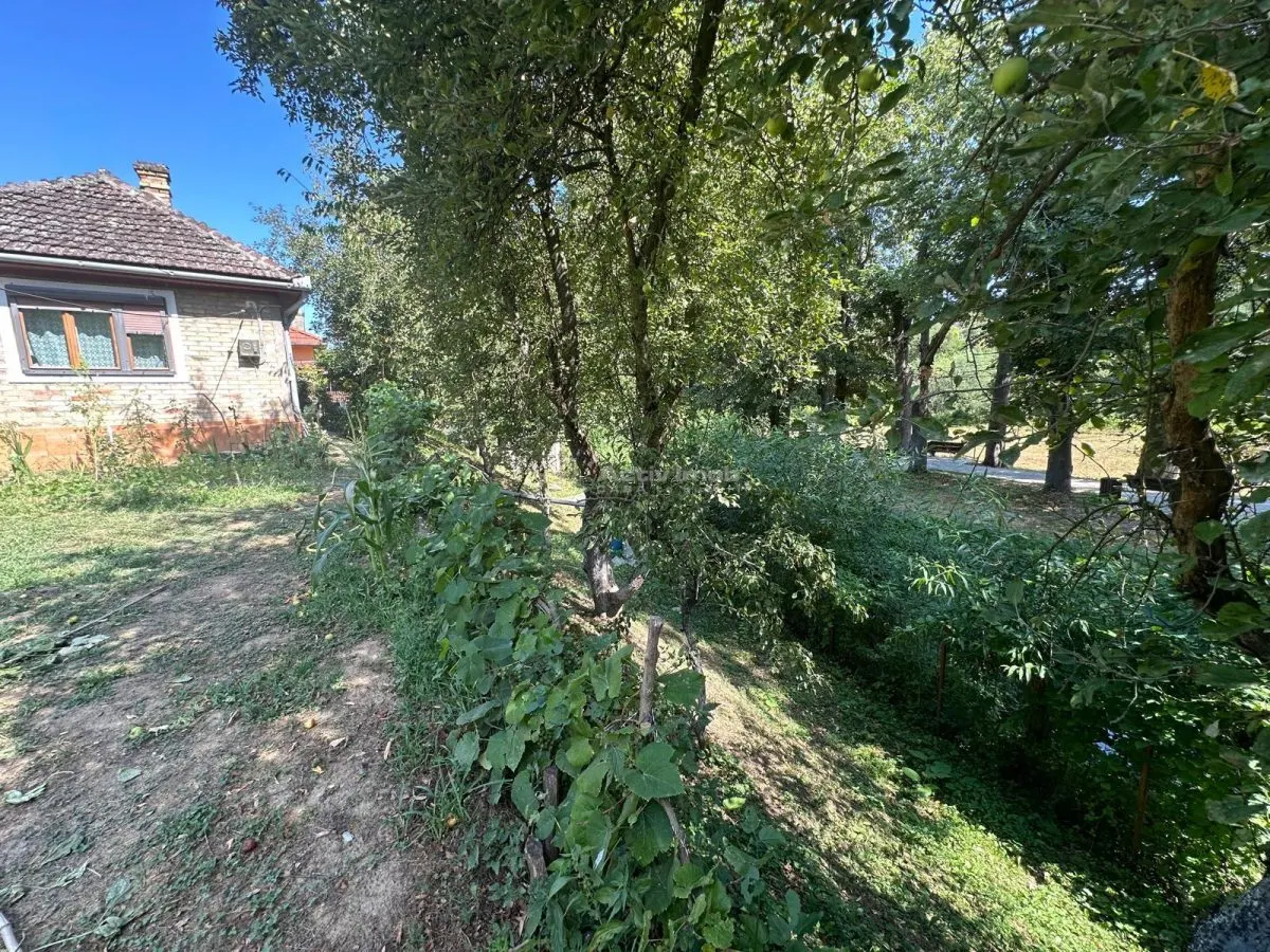 Bocsa Montana: Chaumière de Vacances Accueillante ou Investissement, Cadre Pittoresque - foto 24