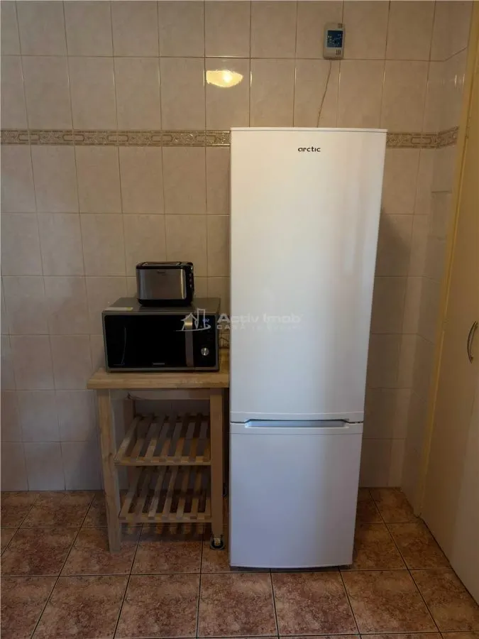 Appartement 2 Chambres, Viorele – Timpuri Noi, Tineretului - foto 6