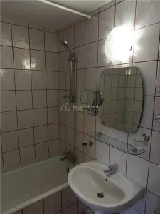 Appartement 2 Chambres, Viorele – Timpuri Noi, Tineretului - foto 7
