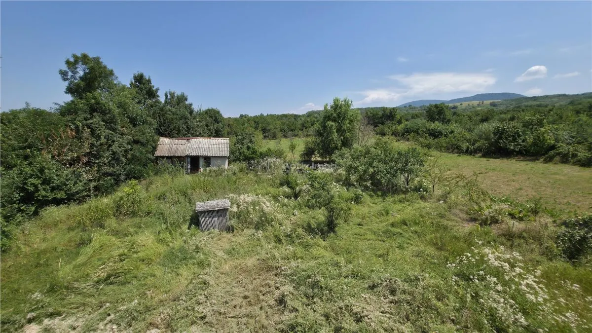 Rachitova | Maison avec Jardin | 5.314 m² de Terrain | Commission Zéro - foto 7