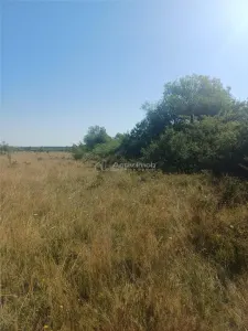 Terrain à Bâtir à Vendre, Zone Magura Cisnadie - foto 11