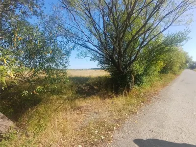 Terrain à Bâtir à Vendre, Zone Magura Cisnadie - foto 12