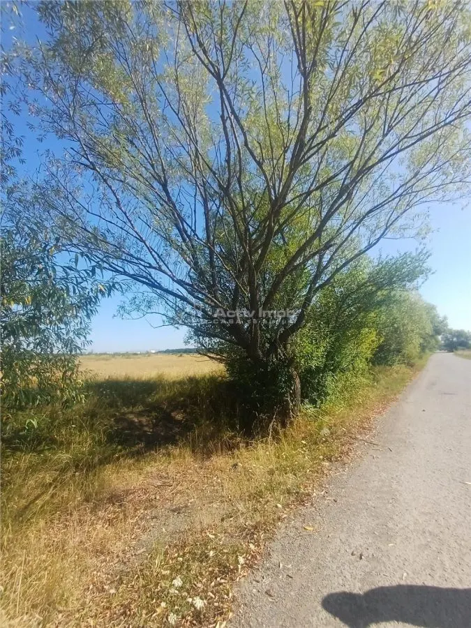 Terrain à Bâtir à Vendre, Zone Magura Cisnadie - foto 3