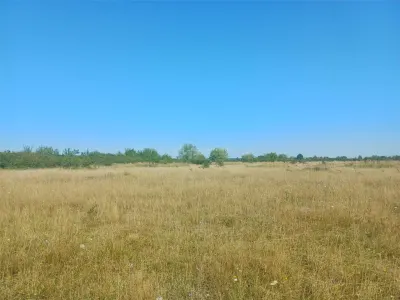 Terrain à Bâtir à Vendre, Zone Magura Cisnadie - foto 4