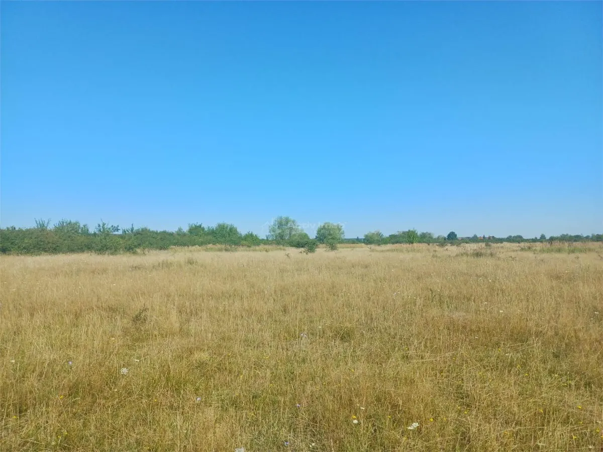 Terrain à Bâtir à Vendre, Zone Magura Cisnadie - foto 4
