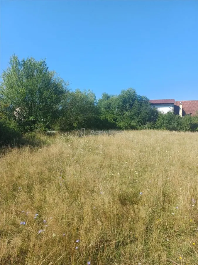 Terrain à Bâtir à Vendre, Zone Magura Cisnadie - foto 6
