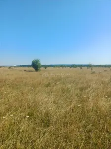 Terrain à Bâtir à Vendre, Zone Magura Cisnadie - foto 7